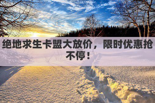 绝地求生卡盟大放价，限时优惠抢不停！