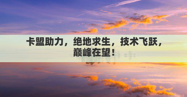 卡盟助力，绝地求生，技术飞跃，巅峰在望！