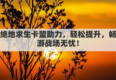 绝地求生卡盟助力，轻松提升，畅游战场无忧！