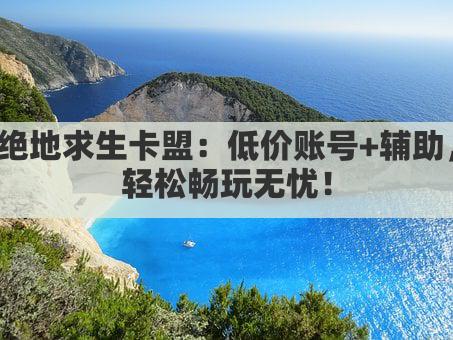 绝地求生卡盟：低价账号+辅助，轻松畅玩无忧！