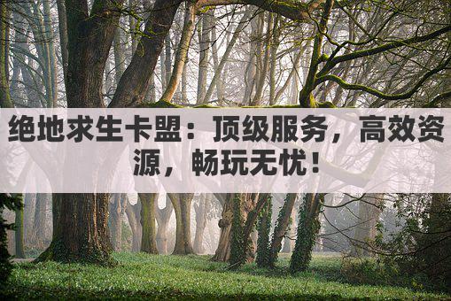 绝地求生卡盟：顶级服务，高效资源，畅玩无忧！