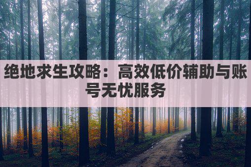 绝地求生攻略：高效低价辅助与账号无忧服务