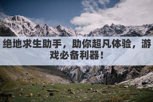 绝地求生助手，助你超凡体验，游戏必备利器！