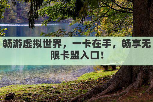 畅游虚拟世界,一卡在手,畅享无限卡盟入口!
