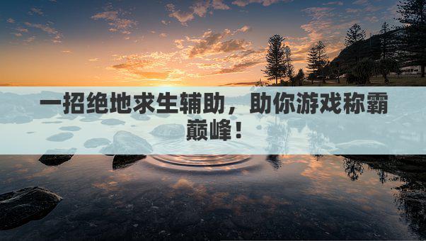 一招绝地求生辅助，助你游戏称霸巅峰！