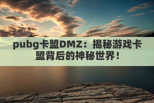 pubg卡盟DMZ:揭秘游戏卡盟背后的神秘世界!