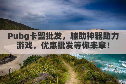 Pubg卡盟批发,辅助神器助力游戏,优惠批发等你来拿!