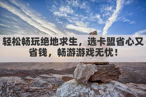 轻松畅玩绝地求生，选卡盟省心又省钱，畅游游戏无忧！
