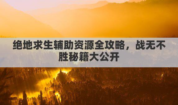 绝地求生辅助资源全攻略，战无不胜秘籍大公开