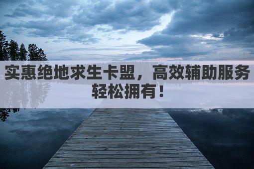 实惠绝地求生卡盟，高效辅助服务轻松拥有！