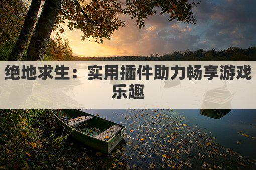 绝地求生：实用插件助力畅享游戏乐趣