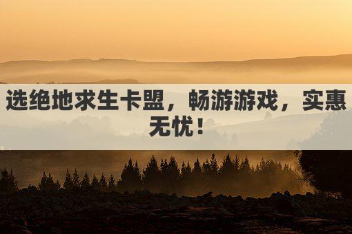 畅游绝地，卡盟助力，游戏无忧！