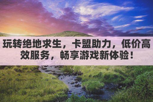 玩转绝地求生，卡盟助力，低价高效服务，畅享游戏新体验！