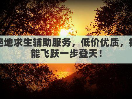 绝地求生辅助服务，低价优质，技能飞跃一步登天！