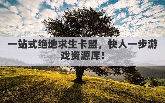 一站式绝地求生卡盟，快人一步游戏资源库！