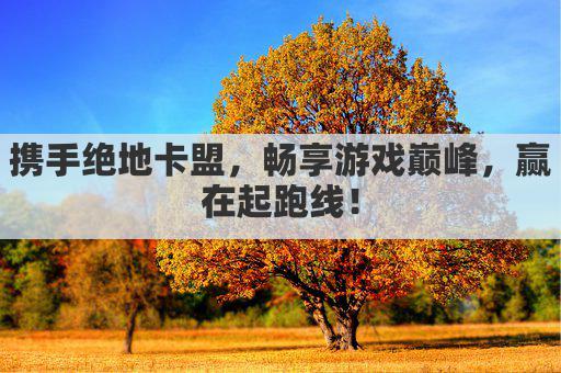 携手绝地卡盟，畅享游戏巅峰，赢在起跑线！