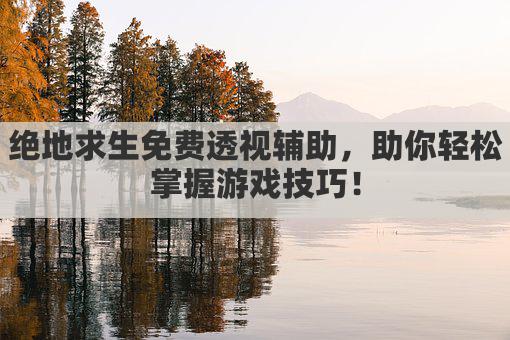 绝地求生免费透视辅助，助你轻松掌握游戏技巧！