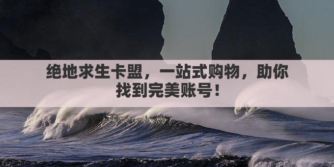 绝地求生卡盟，一站式购物，助你找到完美账号！