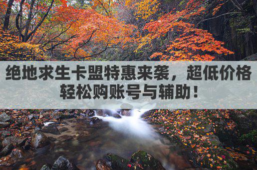 绝地求生卡盟特惠来袭，超低价格轻松购账号与辅助！