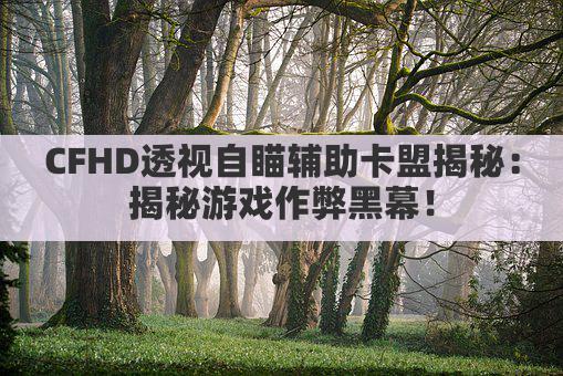 CFHD透视自瞄辅助卡盟揭秘:揭秘游戏作弊黑幕!