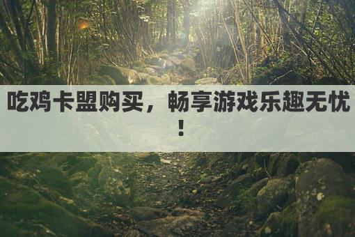 吃鸡卡盟购买，畅享游戏乐趣无忧！