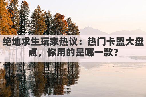 绝地求生玩家热议：热门卡盟大盘点，你用的是哪一款？