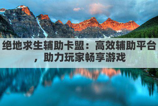 绝地求生辅助卡盟：高效辅助平台，助力玩家畅享游戏