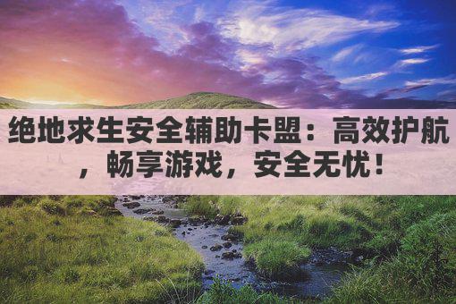 绝地求生安全辅助卡盟：高效护航，畅享游戏，安全无忧！