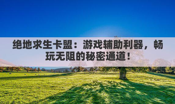 绝地求生卡盟:游戏辅助利器,畅玩无阻的秘密通道!