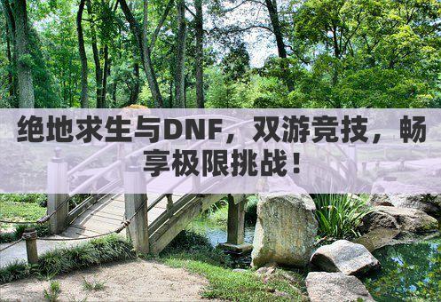 绝地求生与DNF，双游竞技，畅享极限挑战！