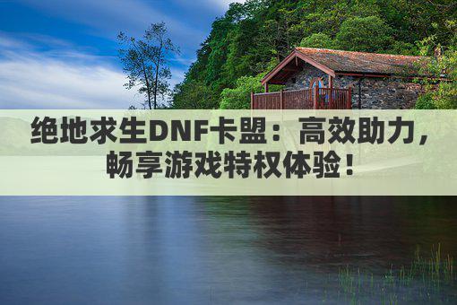 绝地求生DNF卡盟：高效助力，畅享游戏特权体验！