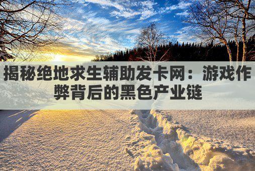 绝地求生辅助神器，发卡网一网打尽，畅游战场无后顾之忧！
