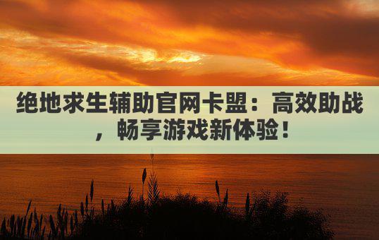 绝地求生辅助官网卡盟：高效助战，畅享游戏新体验！