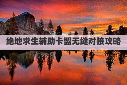 绝地求生辅助卡盟无缝对接攻略
