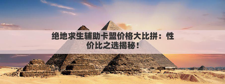 绝地求生辅助卡盟价格大比拼：性价比之选揭秘！
