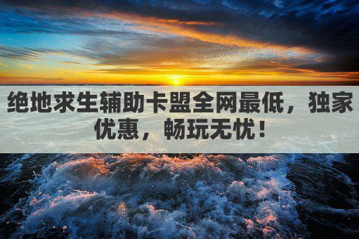 绝地求生辅助卡盟平台全网最低,独家优惠,畅玩无忧!