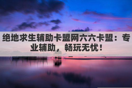 绝地求生辅助卡盟网六六卡盟：专业辅助，畅玩无忧！