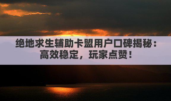 绝地求生辅助卡盟用户口碑揭秘：高效稳定，玩家点赞！