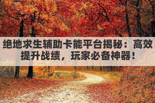 绝地求生辅助卡能平台揭秘：高效提升战绩，玩家必备神器！