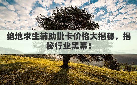 绝地求生辅助批卡价格大揭秘，揭秘行业黑幕！
