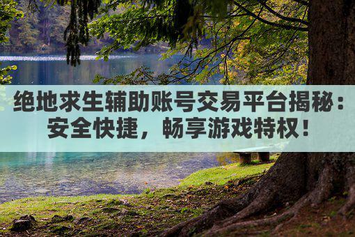 绝地求生辅助账号交易平台揭秘：安全快捷，畅享游戏特权！