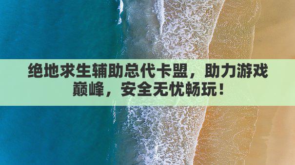 绝地求生辅助总代卡盟，助力游戏巅峰，安全无忧畅玩！