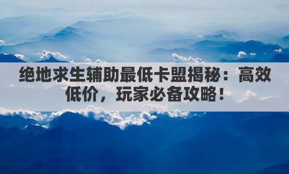 绝地求生辅助最低卡盟揭秘：高效低价，玩家必备攻略！