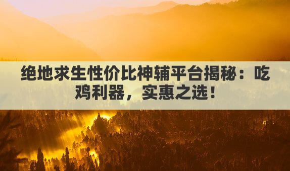 绝地求生性价比神辅平台揭秘：吃鸡利器，实惠之选！