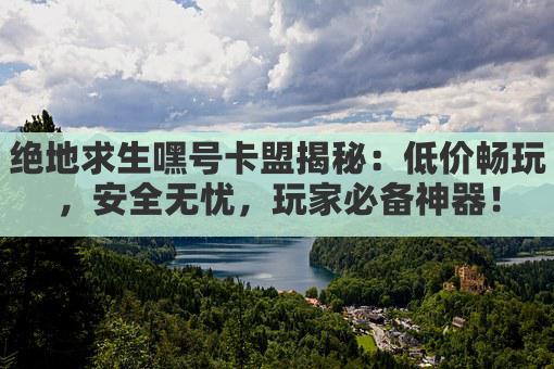 绝地求生嘿号卡盟揭秘：低价畅玩，安全无忧，玩家必备神器！
