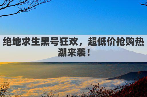 绝地求生黑号狂欢，超低价抢购热潮来袭！