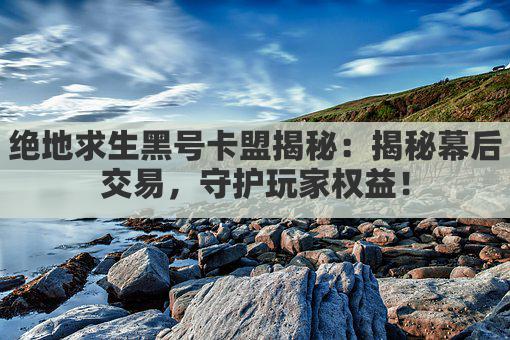 绝地求生黑号卡盟揭秘：卡盟黑号，风险重重！