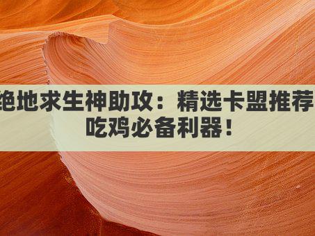 绝地求生神助攻：精选卡盟推荐，吃鸡必备利器！