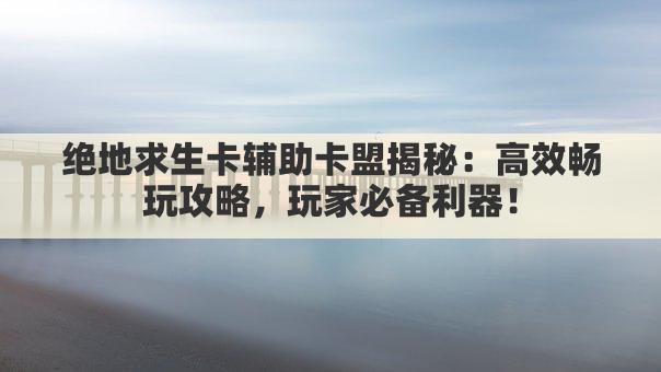 绝地求生卡辅助卡盟揭秘：高效畅玩攻略，玩家必备利器！