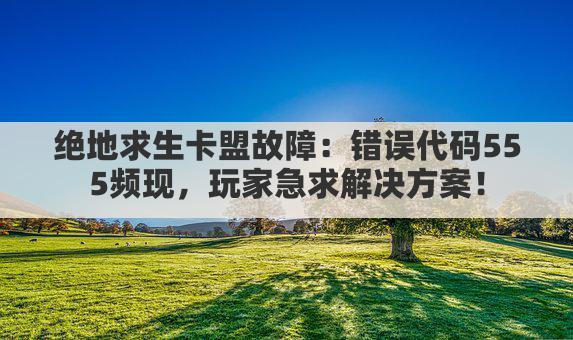 绝地求生卡盟故障：错误代码555频现，玩家急求解决方案！